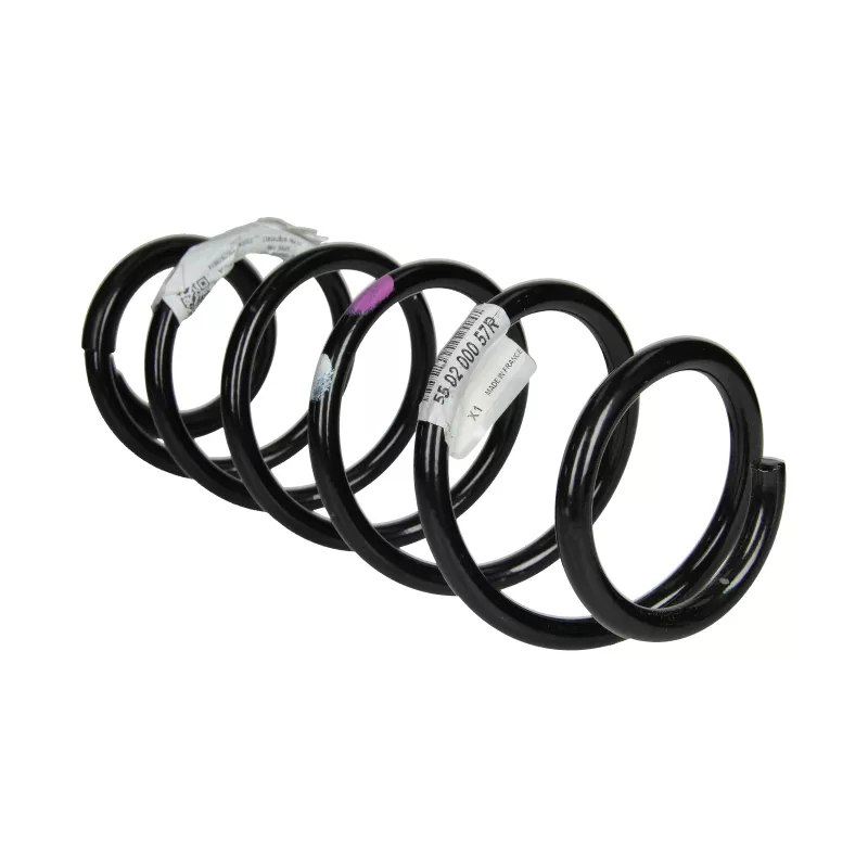 Ressort de suspension arrière OE 550200057R - Visuel 1