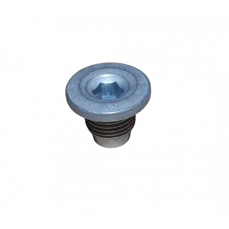 Vis-bouchon, carter d'huile OE 031139 - Visuel 1