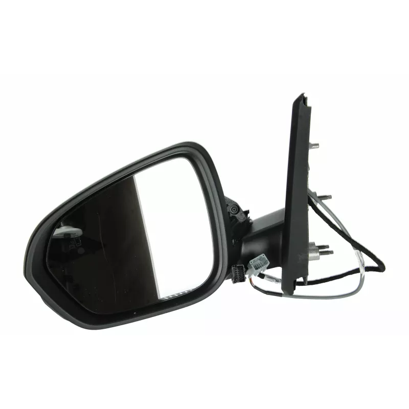 rétroviseur extérieur gauche OE 963024020R - Visuel 1