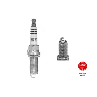 Bougie d'allumage NGK OEM BY484LFR6A