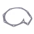 SKF VKPC 7017 - Pompe à eau