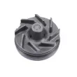 SKF VKPC 7049 - Pompe à eau