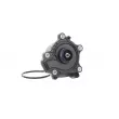 SKF VKPC 91874 - Pompe à eau, refroidissement du moteur