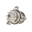 SKF VKPC 95920 - Pompe à eau, refroidissement du moteur
