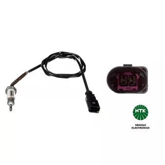 Capteur, température des gaz NTK OEM 03L906088BK