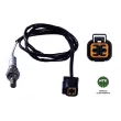 NTK 91153 - Sonde lambda