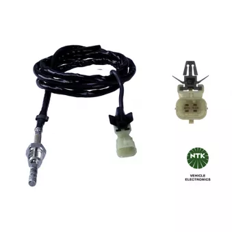 Capteur, température des gaz NTK OEM 55566621