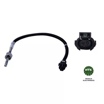 NTK 95977 - Capteur, température des gaz