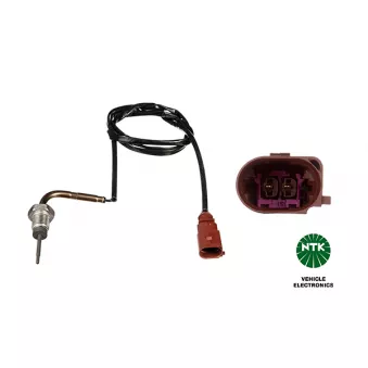 Capteur, température des gaz NTK OEM 04L906088DD