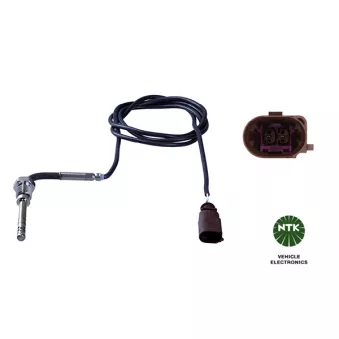 Capteur, température des gaz NTK OEM 03L906088HG