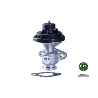 Vanne EGR NTK OEM 038131501BC