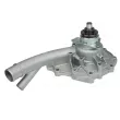 MEYLE 013 026 9002 - Pompe à eau
