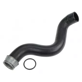 Durite de radiateur MEYLE OEM A2115010882