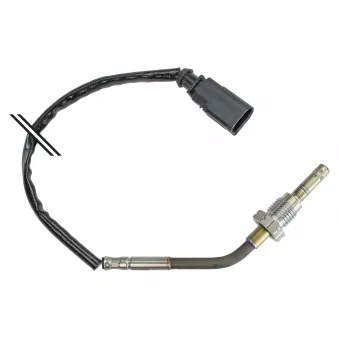 Capteur, température des gaz MEYLE OEM 03L906088AN