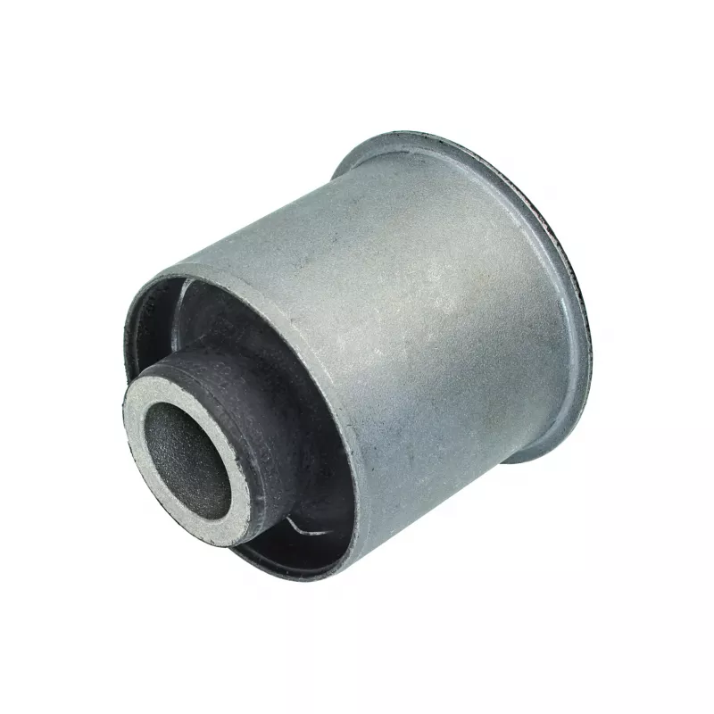 Suspension, corps de l'essieu MEYLE 29-14 710 0000 - Visuel 1