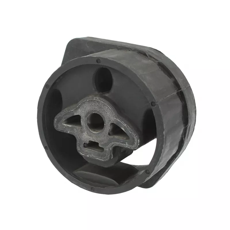 Suspension, boîte automatique MEYLE 300 221 1137 - Visuel 1