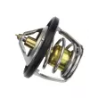 Thermostat, liquide de refroidissement MEYLE [34-28 228 0000]