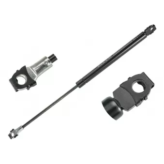 Vérin, capot-moteur MEYLE OEM 51231960852