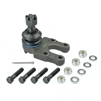 Rotule de suspension MEYLE 36-16 010 0050 pour FORD MAVERICK 2.7 TD - 125cv