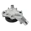 MEYLE 53-13 220 0006 - Pompe à eau