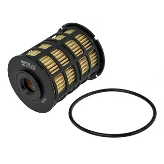 MEYLE 614 323 0008 - Filtre à carburant