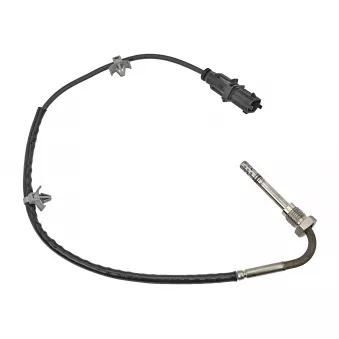 MEYLE 614 800 0089 - Capteur, température des gaz