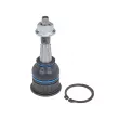 MEYLE 616 010 0016/HD - Rotule de suspension