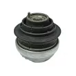 MEYLE 014 024 0156 - Support moteur