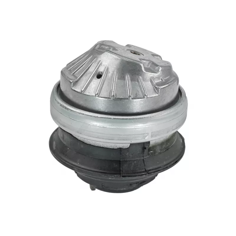 Support moteur MEYLE 014 024 0161 - Visuel 1