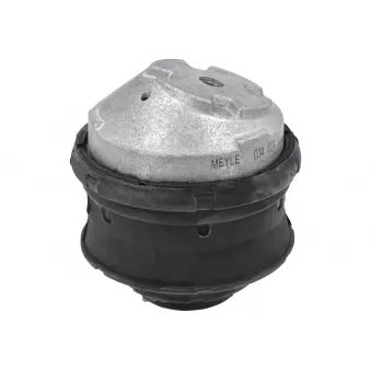 Support moteur MEYLE OEM A2022400117