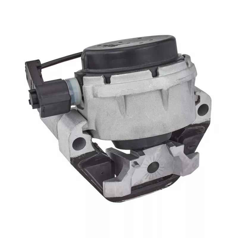 Support moteur MEYLE 100 199 0316 - Visuel 1