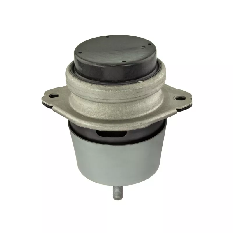 Support moteur MEYLE 100 199 1187 - Visuel 1