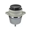 MEYLE 100 199 1190 - Support moteur