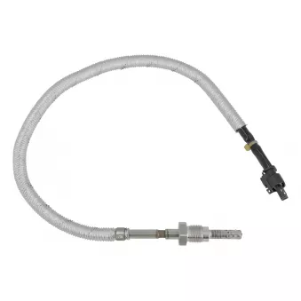 Capteur, température des gaz MEYLE OEM 05146173AB