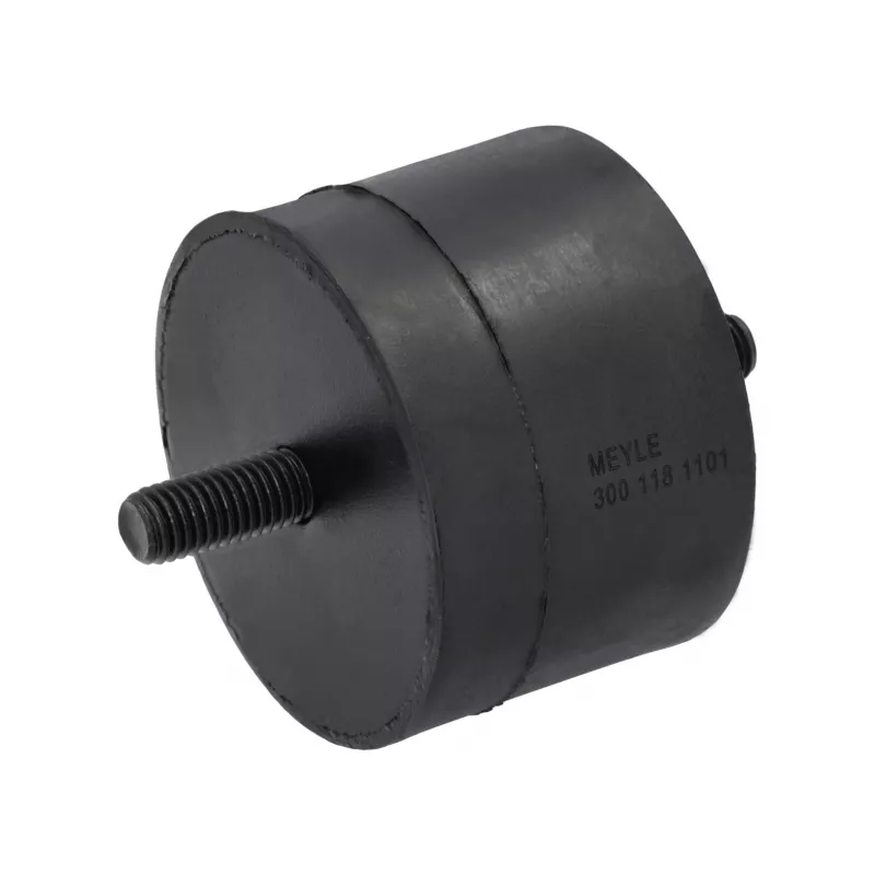 Support moteur MEYLE 300 118 1101 - Visuel 1