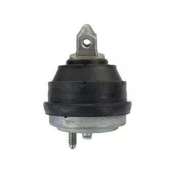 Support moteur MEYLE 300 221 1128 pour BMW Série 5 530 d - 193cv