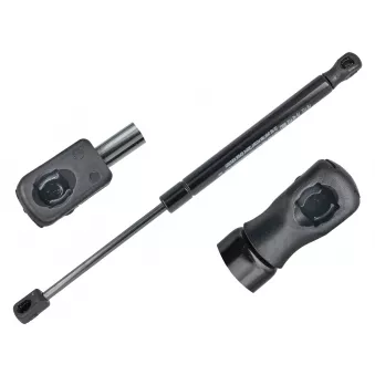 Vérin de hayon, de coffre MEYLE 70-40 910 0002 pour TESLA MODEL 3 EV - 306cv