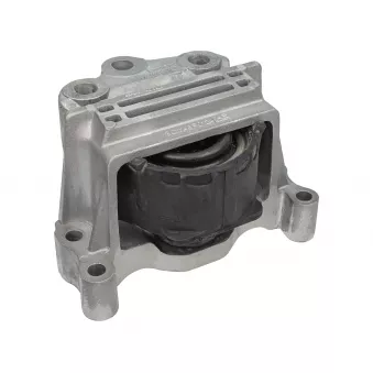 MEYLE 714 130 0012 - Support moteur avant droit