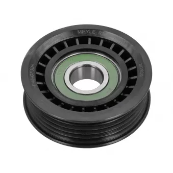 Poulie renvoi/transmission, courroie trapézoïdale à nervures MEYLE OEM A1662020319