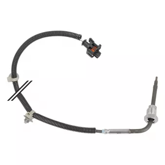 MEYLE 614 800 0095 - Capteur, température des gaz