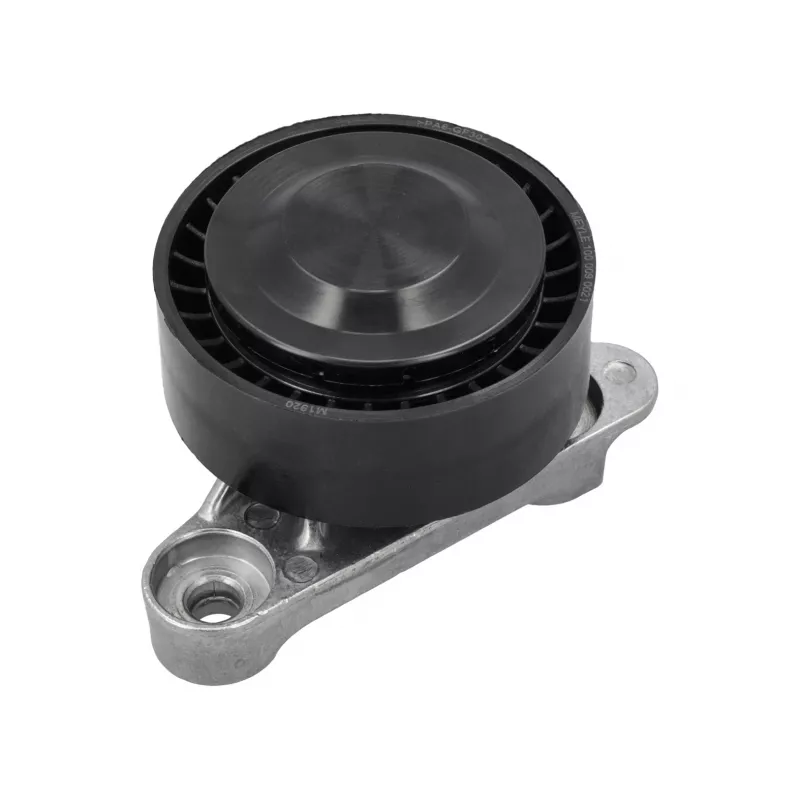 Poulie de tension, courroie trapézoïdale à nervures MEYLE 100 009 0021 - Visuel 1