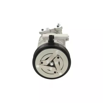 Compresseur, climatisation BV PSH OEM 00000006453SS