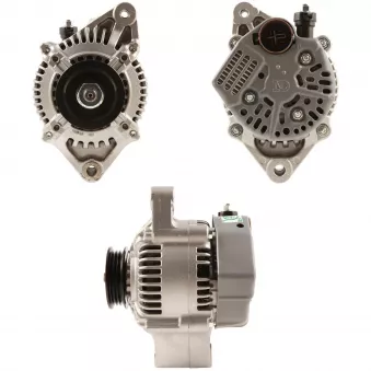 Alternateur BV PSH [125.503.060.050]