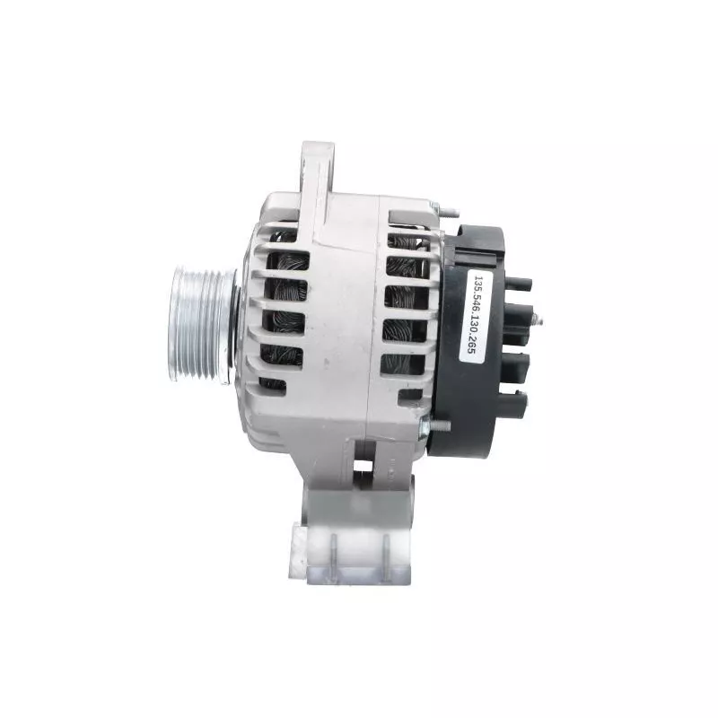 Alternateur BV PSH 135.546.130.265 - Visuel 1