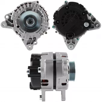 Alternateur BV PSH 305.556.180.000