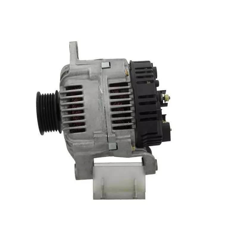 Alternateur BV PSH 575.524.080.505 - Visuel 1