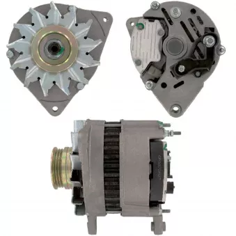 Alternateur BV PSH OEM 89FX10300JA