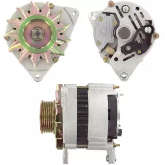 Alternateur BV PSH OEM F2NN10B376BA