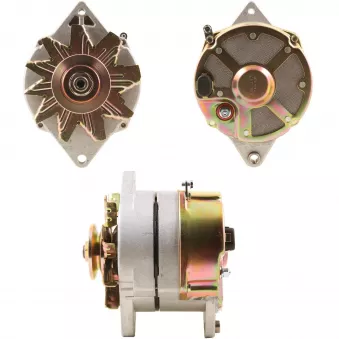 Alternateur BV PSH 835.039.034.030