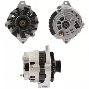 Alternateur BV PSH 835.074.105.030